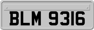 BLM9316