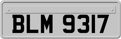 BLM9317