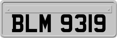 BLM9319