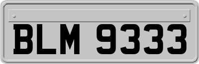 BLM9333