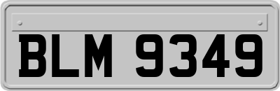 BLM9349