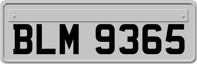 BLM9365