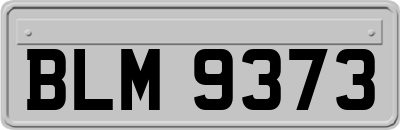 BLM9373