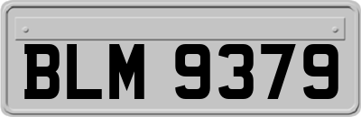 BLM9379
