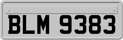 BLM9383