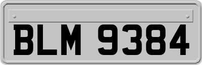 BLM9384