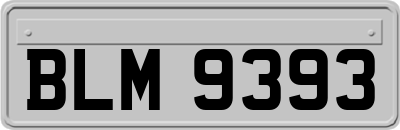 BLM9393