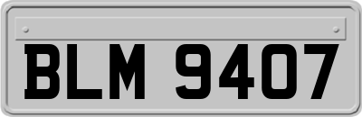 BLM9407