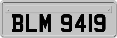 BLM9419