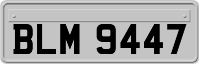 BLM9447