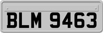 BLM9463
