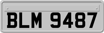 BLM9487