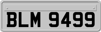 BLM9499