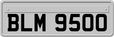 BLM9500