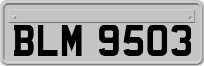 BLM9503