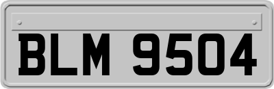 BLM9504