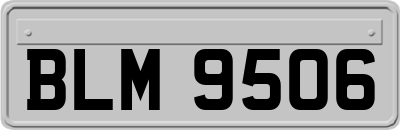 BLM9506