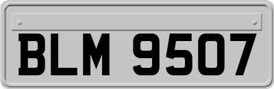 BLM9507