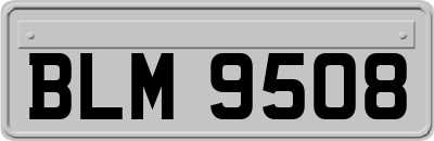 BLM9508
