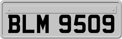 BLM9509