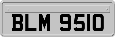 BLM9510