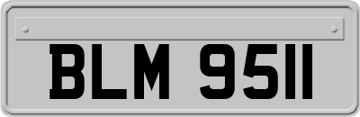 BLM9511