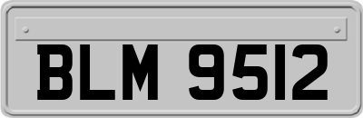 BLM9512