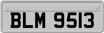BLM9513