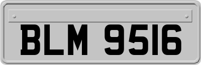 BLM9516