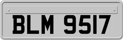 BLM9517