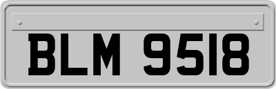BLM9518