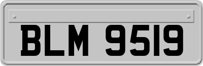 BLM9519