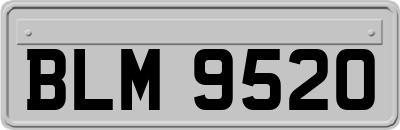 BLM9520