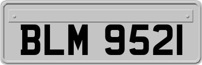 BLM9521
