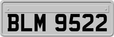 BLM9522