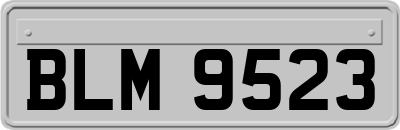 BLM9523