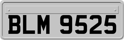 BLM9525
