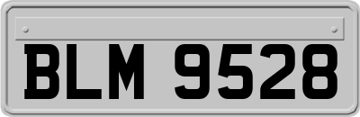 BLM9528
