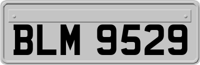 BLM9529