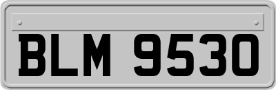 BLM9530
