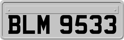 BLM9533