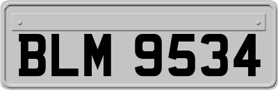 BLM9534
