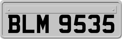 BLM9535
