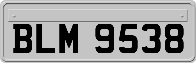 BLM9538