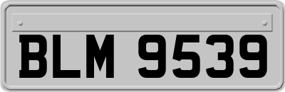 BLM9539