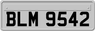 BLM9542