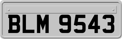 BLM9543
