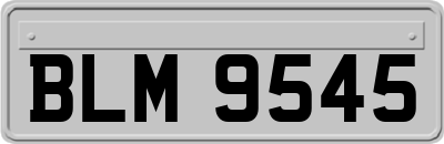 BLM9545