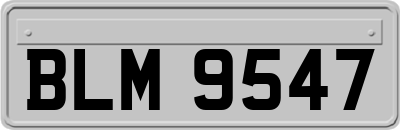 BLM9547