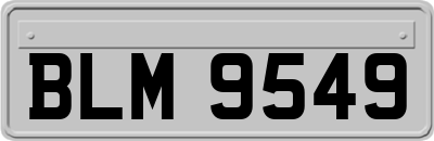 BLM9549